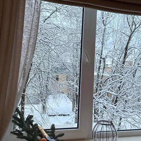 Cozy In The Center Of Apartman *