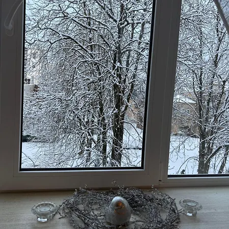 Apartman Cozy In The Center Of